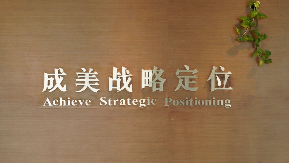 战略定位